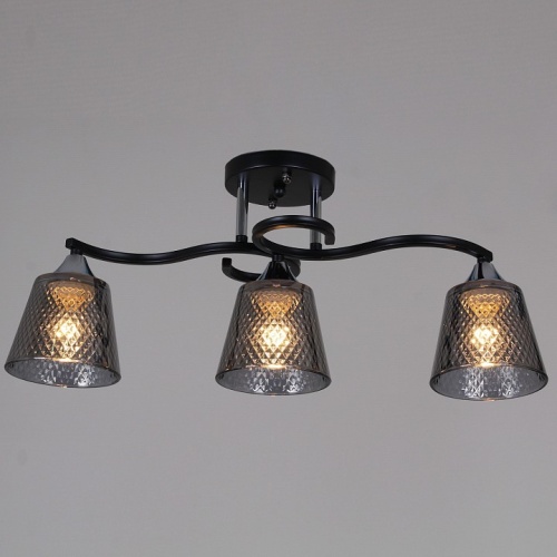 Светильник на штанге 06089-0.3-03 BK+CR в Нижнем Новгороде фото 4