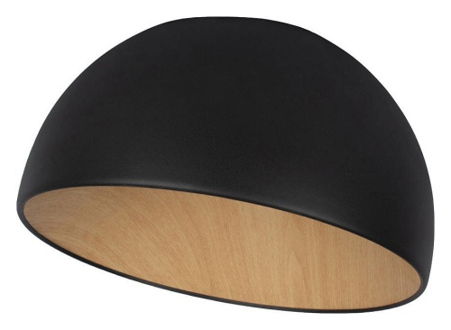 Накладной светильник Loft it Egg 10197/350 Black в Ревде фото 4