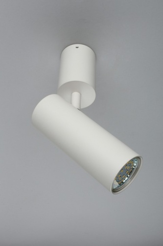 Спот Aployt Berenis APL.007.02.01 в Нижнем Новгороде фото 2