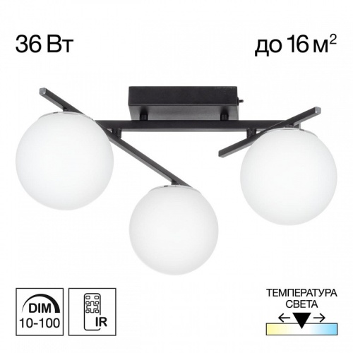 Потолочная люстра Citilux Dorsy CL223132 в Нижнем Новгороде фото 4
