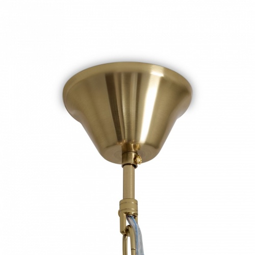 Подвесная люстра Freya Evelyn FR2038PL-06BS в Нижнем Новгороде фото 7