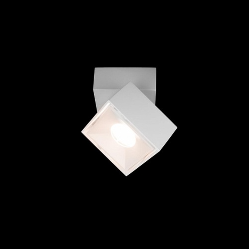 Спот Loft it Focus 10323/B White в Нижнем Новгороде фото 2