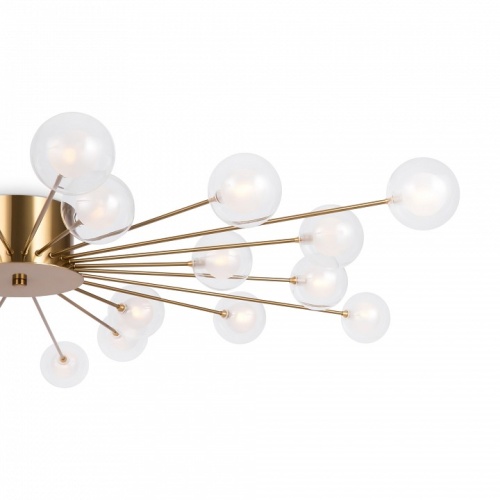 Потолочная люстра Freya Celebrity FR5242CL-24BS1 в Нижнем Новгороде фото 3