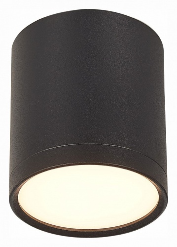 Накладной светильник ST-Luce Rene ST113.432.05 в Кропоткине фото 6