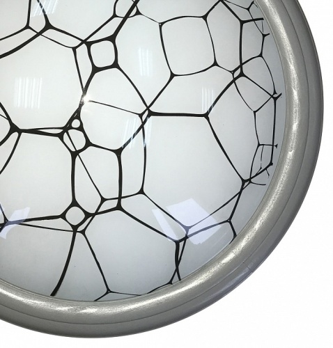 Накладной светильник TopLight Ophelia TL1125-1Y в Нижнем Новгороде фото 2