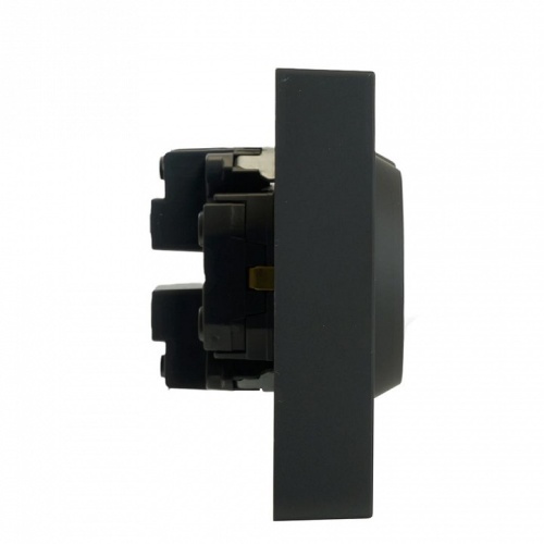 Розетка двойная с заземлением и со шторкой Stekker Эмили 49856 в Нижнем Новгороде фото 2