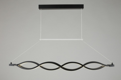 Накладной светильник Aployt Nadayn APL.002.13.72 в Нижнем Новгороде фото 3