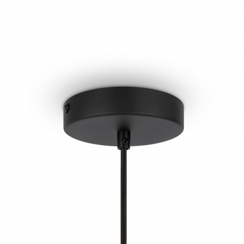 Подвесной светильник Maytoni Roots MOD197PL-01W в Нижнем Новгороде фото 2