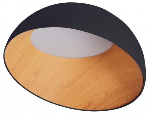 Накладной светильник Zortes Baum ZRS.01243.07 в Нижнем Новгороде