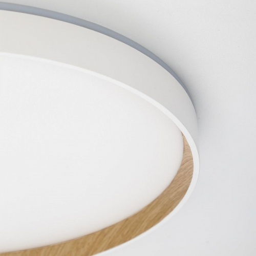 Накладной светильник Citilux ETALON CL750400R в Нижнем Новгороде фото 2