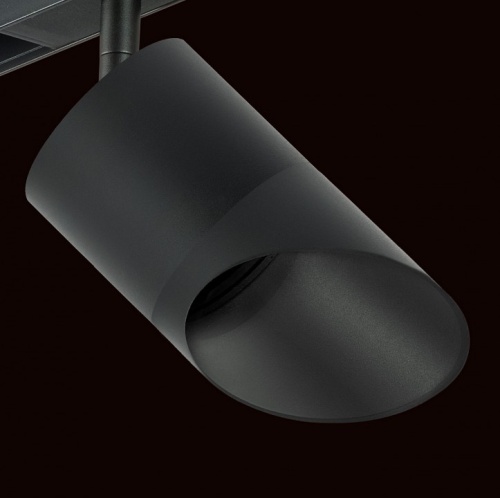 Светильник на штанге Lightstar Rullo PRO348787 в Нижнем Новгороде фото 2