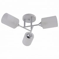 Потолочная люстра Rivoli Federica Б0068438 в Нижнем Новгороде