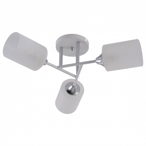 Потолочная люстра Rivoli Federica Б0068438 в Нижнем Новгороде