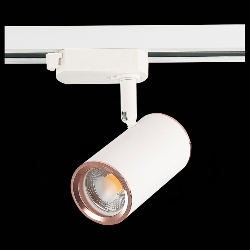 Светильник на штанге ST-Luce Cromi ST301.526.01 в Нижнем Новгороде фото 8