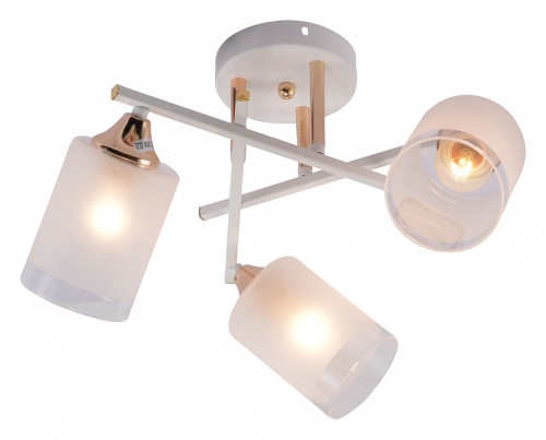 Люстра на штанге Rivoli Tammy Б0059258 в Нижнем Новгороде фото 4