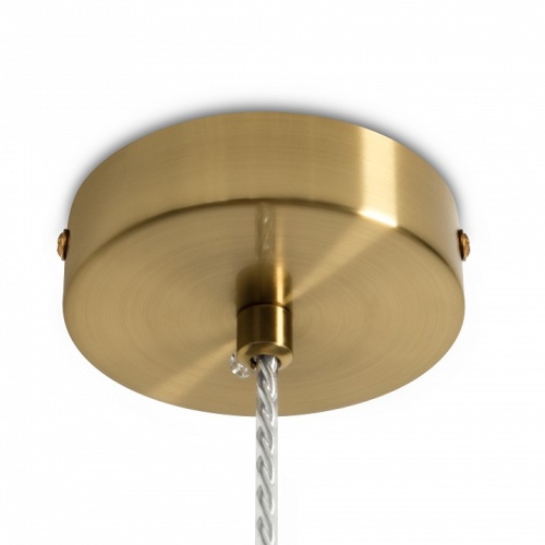 Подвесной светильник Freya Sylvia FR2056PL-01BR в Нижнем Новгороде фото 3