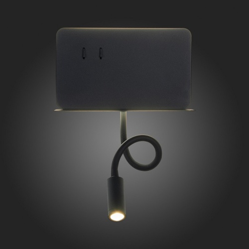 Бра ST-Luce Pinaggio SL1576.401.02 в Нижнем Новгороде фото 5