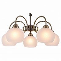 Подвесная люстра Arte Lamp Margo A9317LM-5AB в Липецке