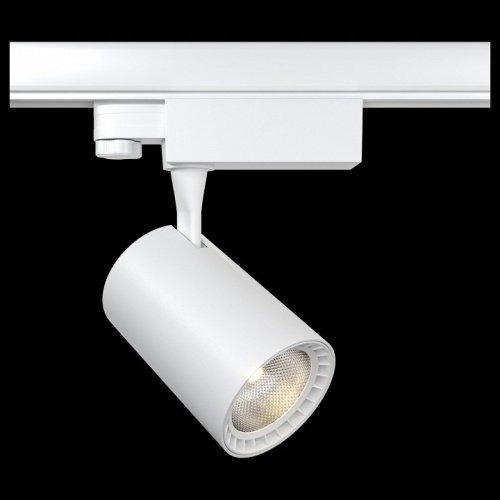 Светильник на штанге Maytoni Vuoro TR029-3-10W3K-W в Нижнем Новгороде фото 3