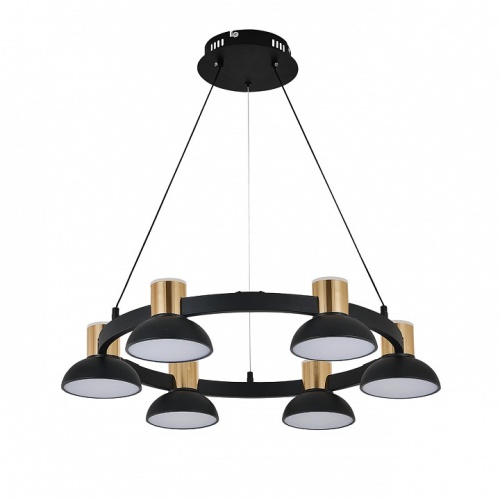Подвесная люстра Indigo Traforo 11059/6P Black в Нижнем Новгороде фото 3