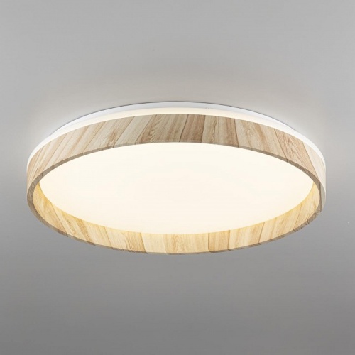 Накладной светильник Citilux ENZO CL753452G в Нижнем Новгороде фото 10