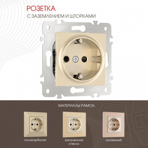 Розетка с заземлением и со шторкой, без рамки Arte Milano am-203 203.40-1.shampan в Нижнем Новгороде фото 6