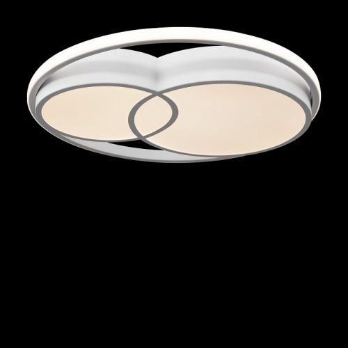 Накладной светильник Freya  FR10029CL-L70W в Нижнем Новгороде фото 5