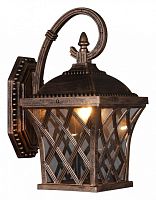 Светильник на штанге 09017-0.2-001SW BKG в Нижнем Новгороде