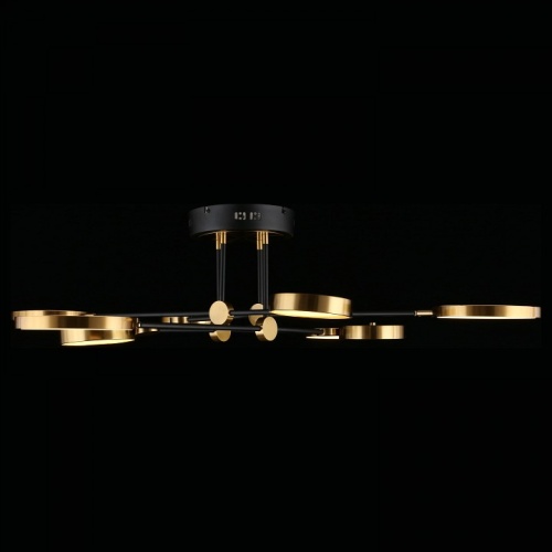 Потолочная люстра Aployt Ines APL.043.07.65 в Нижнем Новгороде фото 10