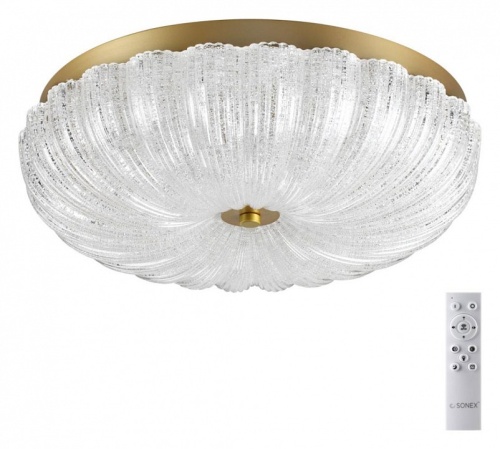 Накладной светильник Sonex Tesoro 7719/48L в Нижнем Новгороде фото 11