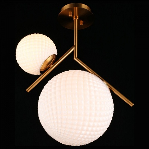 Светильник на штанге Aployt Marzena APL.300.07.02 в Нижнем Новгороде фото 10