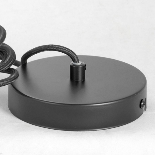 Подвесной светильник Lussole Strawberry GRLSP-8212 в Нижнем Новгороде фото 4