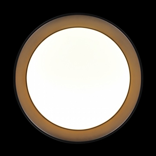 Накладной светильник Loft it Coin 10202 BB в Нижнем Новгороде фото 5