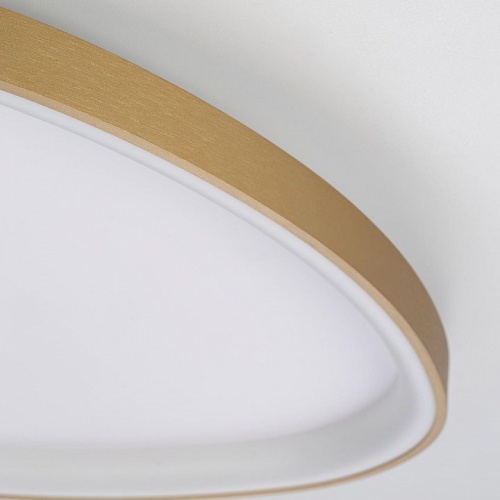 Накладной светильник Citilux GENKA SMART CL756A162 в Нижнем Новгороде фото 2