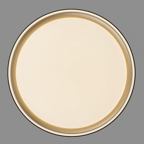 Накладной светильник Citilux BOSS CL751251G в Нижнем Новгороде фото 11