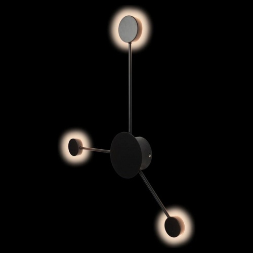 Накладной светильник Loft it Rays 10059BK в Нижнем Новгороде фото 2