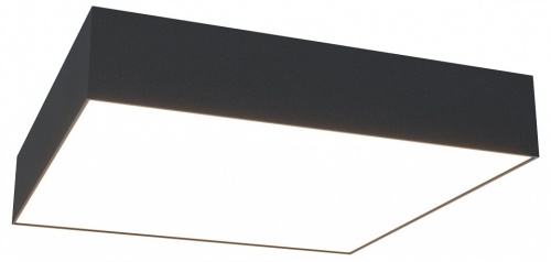 Накладной светильник Maytoni Zon C067CL-L40B4K в Нижнем Новгороде фото 4