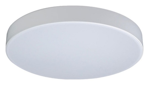 Накладной светильник Loft it Axel 1 10002/24 White в Белом фото 6