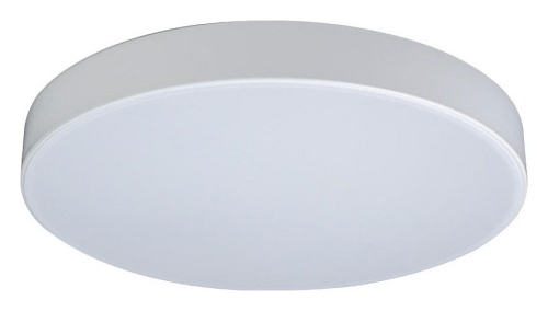 Накладной светильник Loft it Axel 1 10002/24 White в Кольчугино фото 6