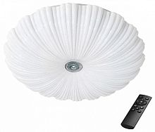 Накладной светильник Lightstar Arco II 225440 в Нижнем Новгороде