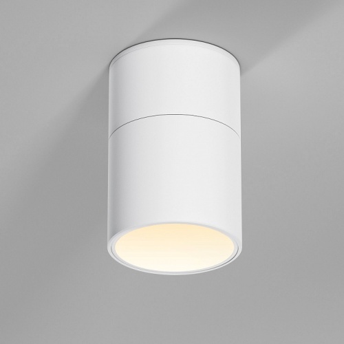 Накладной светильник Elektrostandard Rolly a067486 в Нижнем Новгороде фото 5