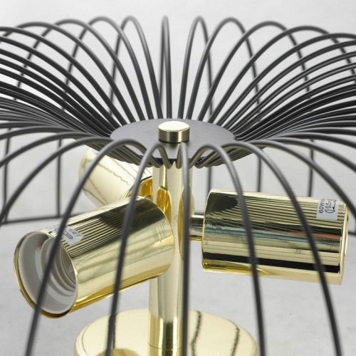 Накладной светильник Lussole Brooks 2 GRLSP-8251 в Нижнем Новгороде фото 3