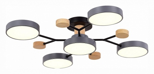 Потолочная люстра EVOLUCE Faema SLE6006-702-05 в Нижнем Новгороде фото 6