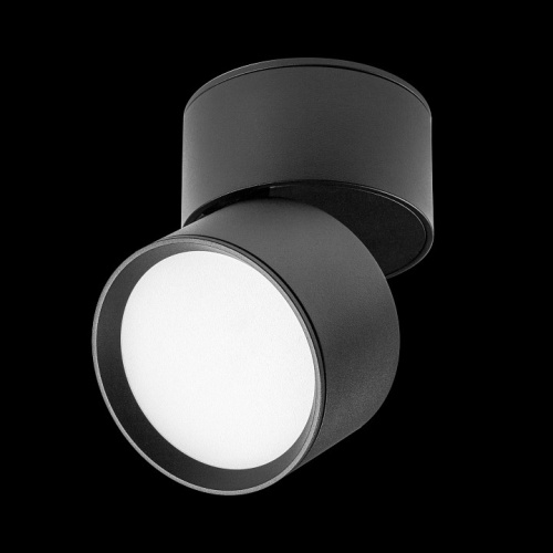 Накладной светильник Lightstar Acuto 215837 в Нижнем Новгороде фото 2