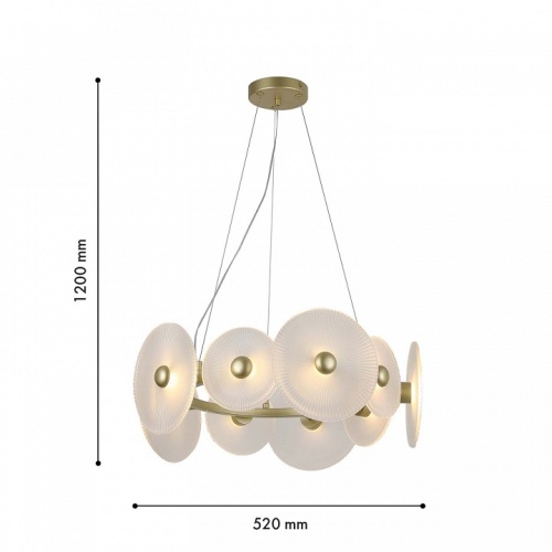 Подвесной светильник F-promo Arctium 4605-8P в Нижнем Новгороде фото 3