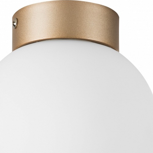 Накладной светильник Lightstar Globo 812013 в Нижнем Новгороде фото 2