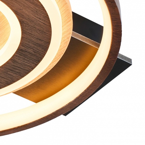 Накладной светильник F-promo Labrea 4699-1C в Нижнем Новгороде фото 2