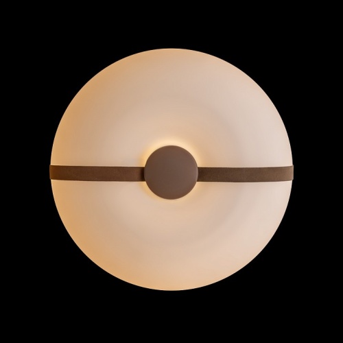 Накладной светильник Loft it Bolina 10473 в Нижнем Новгороде фото 3