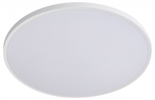 Накладной светильник Lightstar Arco Eco 225730 в Нижнем Новгороде