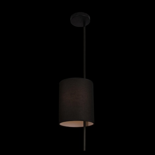 Светильник на штанге Loft it Ritz 10253P Black в Ермолино фото 3
